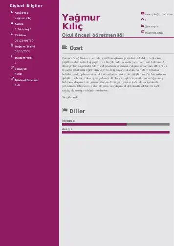 Okul Öncesi Öğretmeni Öğretmenliği Cv Örnekleri cv indir